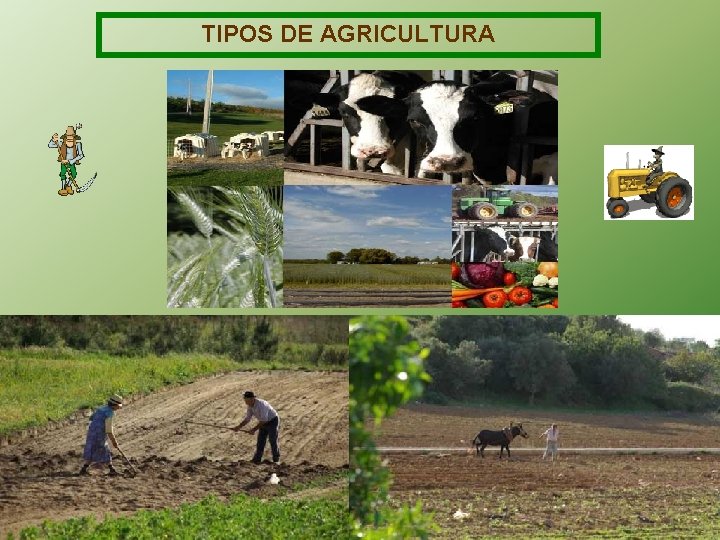 TIPOS DE AGRICULTURA 