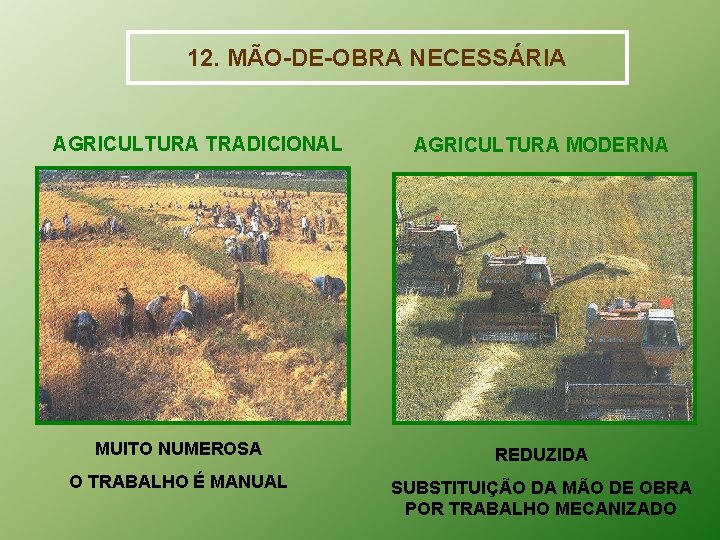 12. MÃO-DE-OBRA NECESSÁRIA AGRICULTURA TRADICIONAL AGRICULTURA MODERNA MUITO NUMEROSA REDUZIDA O TRABALHO É MANUAL