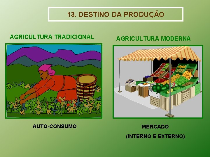 13. DESTINO DA PRODUÇÃO AGRICULTURA TRADICIONAL AUTO-CONSUMO AGRICULTURA MODERNA MERCADO (INTERNO E EXTERNO) 