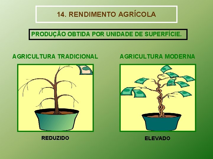 14. RENDIMENTO AGRÍCOLA PRODUÇÃO OBTIDA POR UNIDADE DE SUPERFÍCIE. AGRICULTURA TRADICIONAL AGRICULTURA MODERNA REDUZIDO