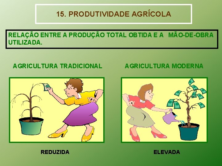 15. PRODUTIVIDADE AGRÍCOLA RELAÇÃO ENTRE A PRODUÇÃO TOTAL OBTIDA E A MÃO-DE-OBRA UTILIZADA. AGRICULTURA