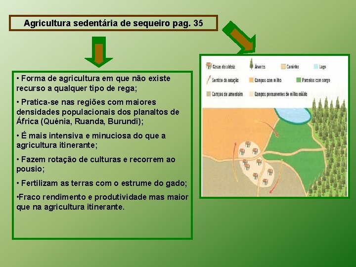 Agricultura sedentária de sequeiro pag. 35 • Forma de agricultura em que não existe