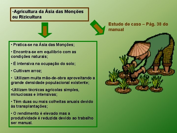  • Agricultura da Ásia das Monções ou Rizicultura Estudo de caso – Pág.