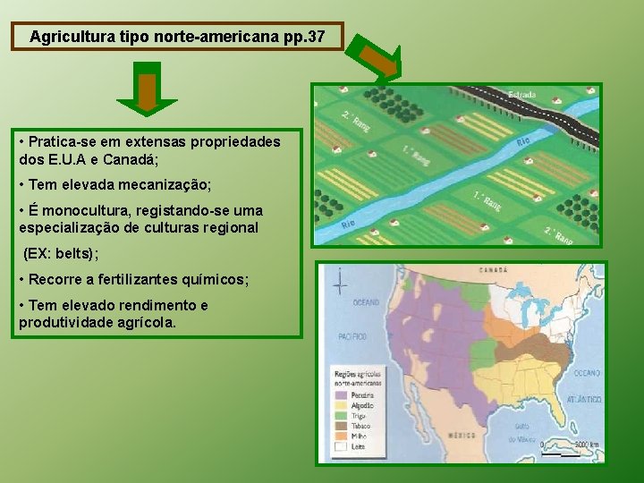 Agricultura tipo norte-americana pp. 37 • Pratica-se em extensas propriedades dos E. U. A