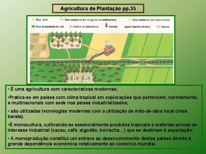 Agricultura de Plantação pp. 35 • É uma agricultura com características modernas; • Pratica-se