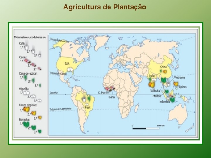 Agricultura de Plantação 