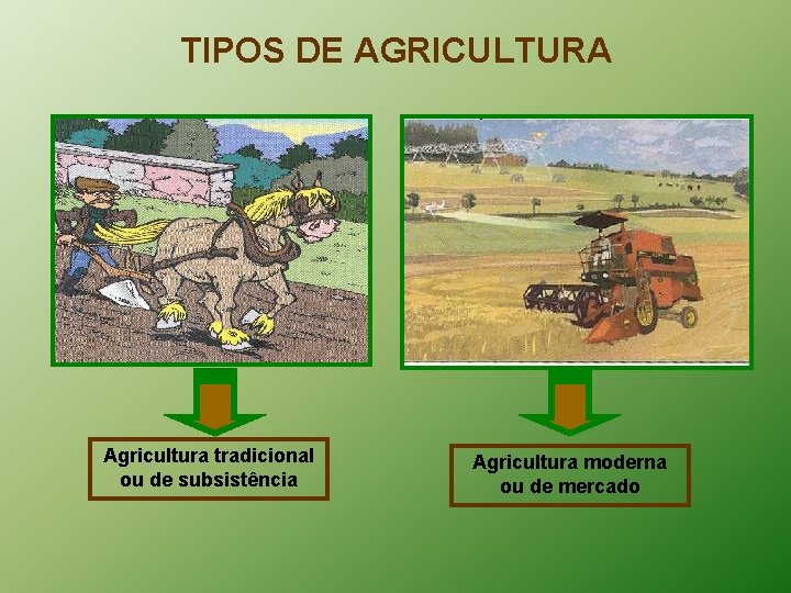 TIPOS DE AGRICULTURA Agricultura tradicional ou de subsistência Agricultura moderna ou de mercado 