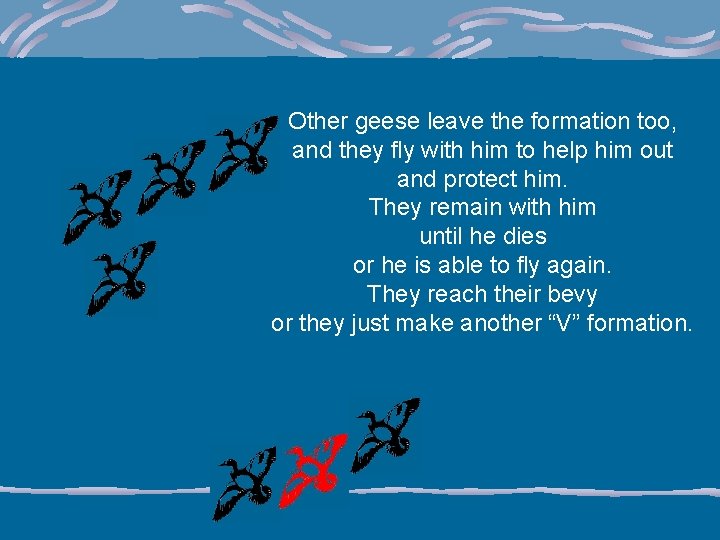 Other geese leave the formation too, and they fly with him to help him