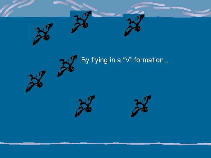 By flying in a “V” formation. . 