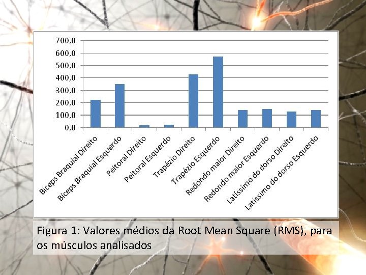 Figura 1: Valores médios da Root Mean Square (RMS), para os músculos analisados 