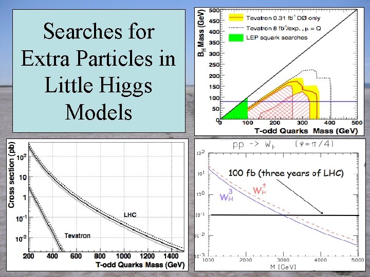 Searches for Extra Particles in Little Higgs Models 