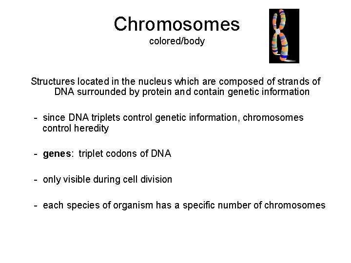 Chromosomes colored/body Structures located in the nucleus which are composed of strands of DNA