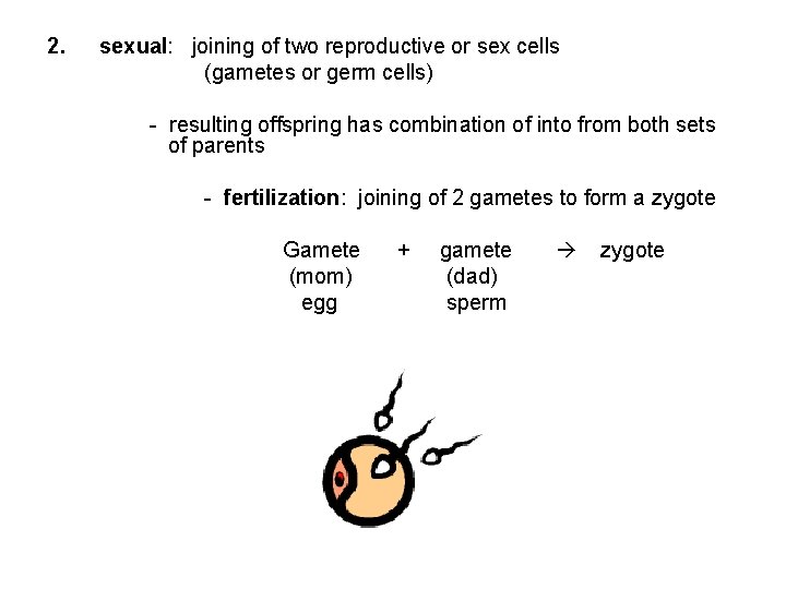 2. sexual: joining of two reproductive or sex cells (gametes or germ cells) -