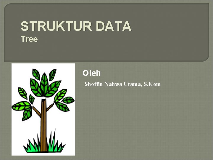 STRUKTUR DATA Tree Oleh Shoffin Nahwa Utama, S. Kom 