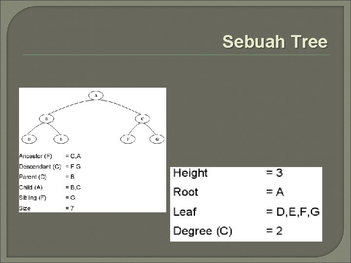 Sebuah Tree 