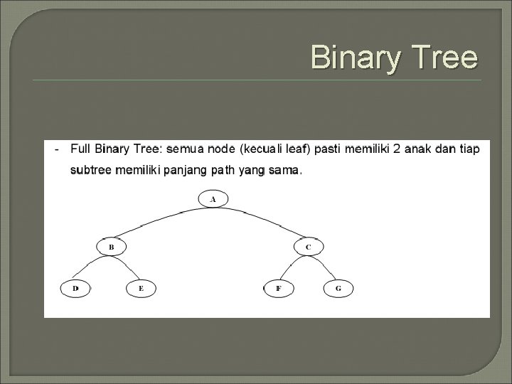 Binary Tree 