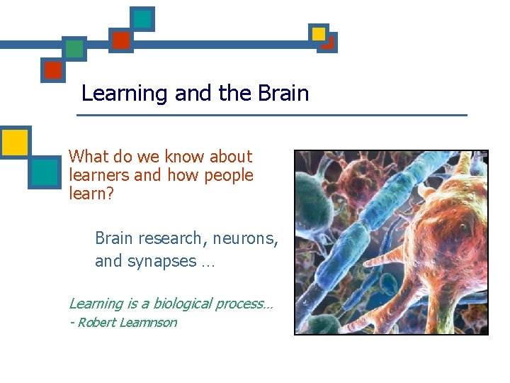 Learning and the Brain What do we know about learners and how people learn?