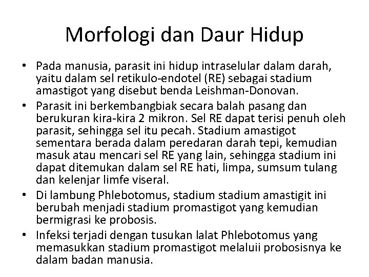 Morfologi dan Daur Hidup • Pada manusia, parasit ini hidup intraselular dalam darah, yaitu Morfologi dan Daur Hidup • Pada manusia, parasit ini hidup intraselular dalam darah, yaitu