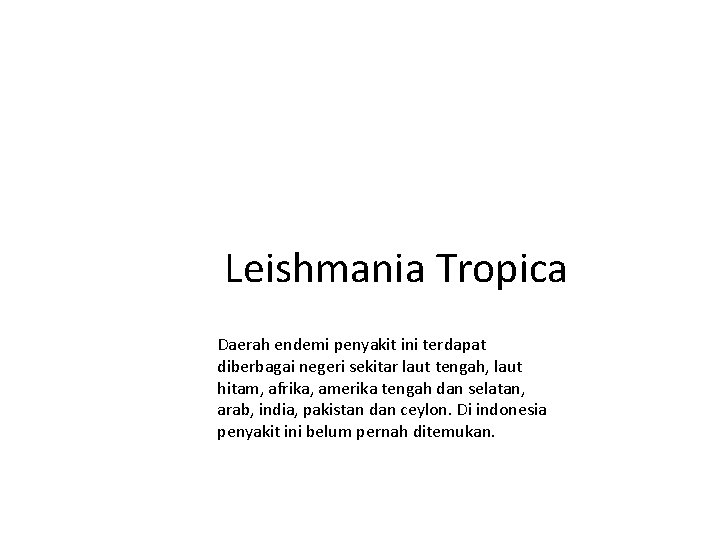 Leishmania Tropica Daerah endemi penyakit ini terdapat diberbagai negeri sekitar laut tengah, laut hitam, Leishmania Tropica Daerah endemi penyakit ini terdapat diberbagai negeri sekitar laut tengah, laut hitam,