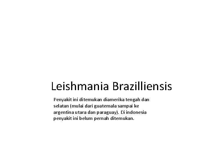 Leishmania Brazilliensis Penyakit ini ditemukan diamerika tengah dan selatan (mulai dari guatemala sampai ke Leishmania Brazilliensis Penyakit ini ditemukan diamerika tengah dan selatan (mulai dari guatemala sampai ke
