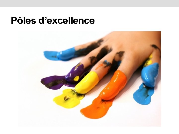 Pôles d’excellence 