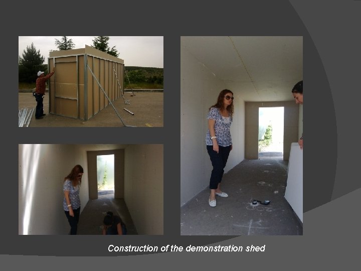 Construction of the demonstration shed 