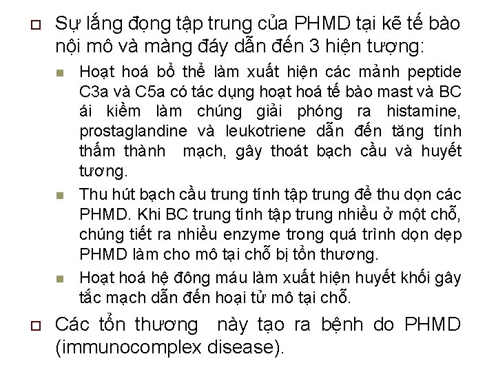 o Sự lắng đọng tập trung của PHMD tại kẽ tế bào nội mô