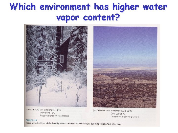 Which environment has higher water vapor content? 
