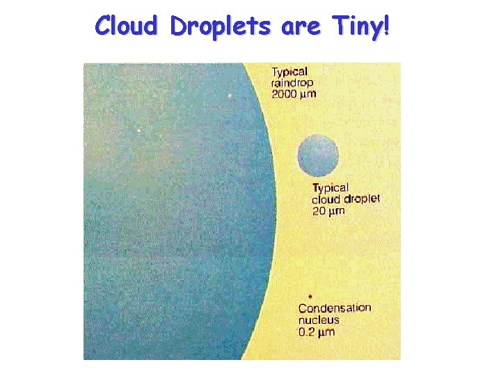 Cloud Droplets are Tiny! 