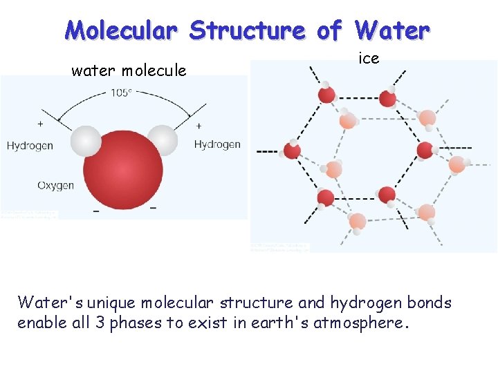 Molecular Structure of Water water molecule ice Water's unique molecular structure and hydrogen bonds