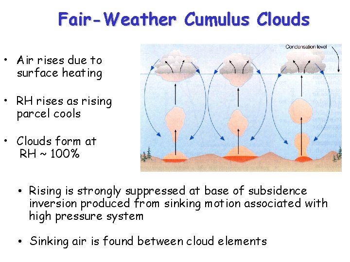 Fair-Weather Cumulus Clouds • Air rises due to surface heating • RH rises as