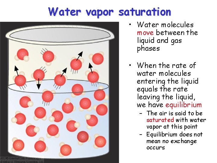 Water vapor saturation • Water molecules move between the liquid and gas phases •