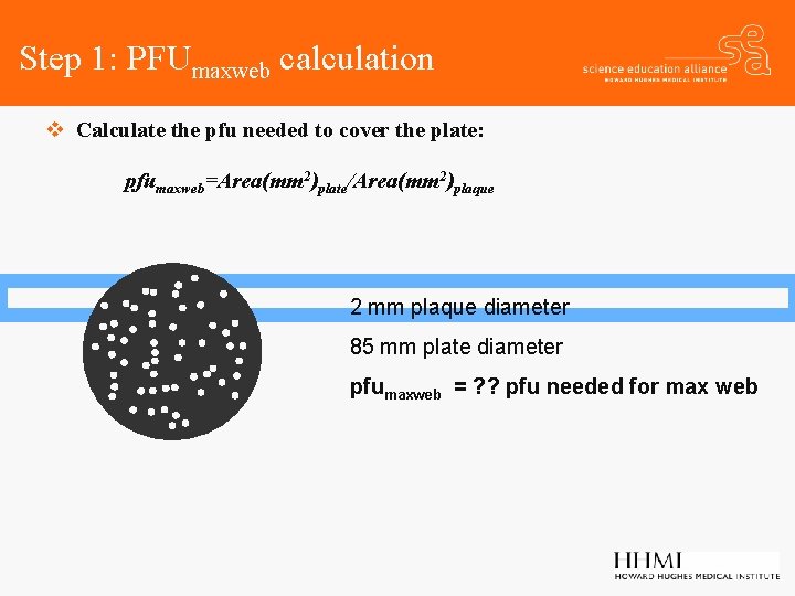 Step 1: PFUmaxweb calculation v Calculate the pfu needed to cover the plate: pfumaxweb=Area(mm