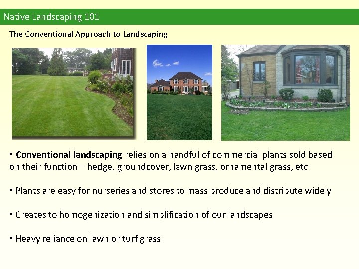 Native Landscaping 101 The Conventional Approach to Landscaping • Conventional landscaping relies on a