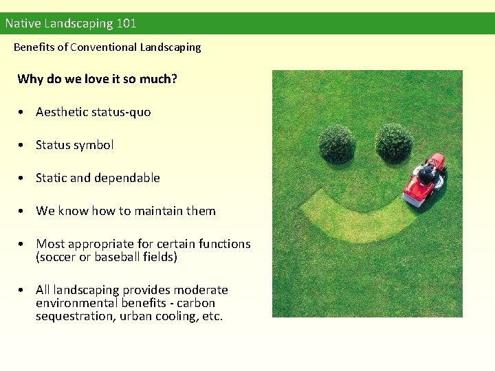 Native Landscaping 101 Benefits of Conventional Landscaping Why do we love it so much?