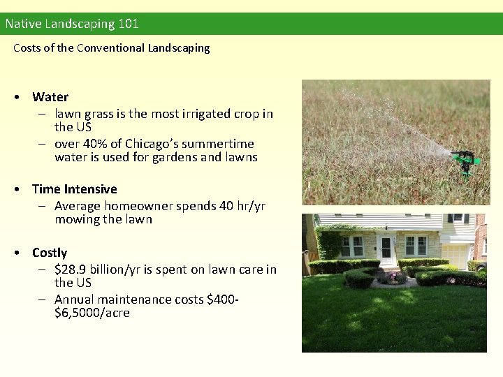 Native Landscaping 101 Costs of the Conventional Landscaping • Water – lawn grass is