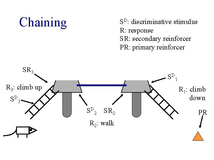 Chaining SD: discriminative stimulus R: response SR: secondary reinforcer PR: primary reinforcer SR 3