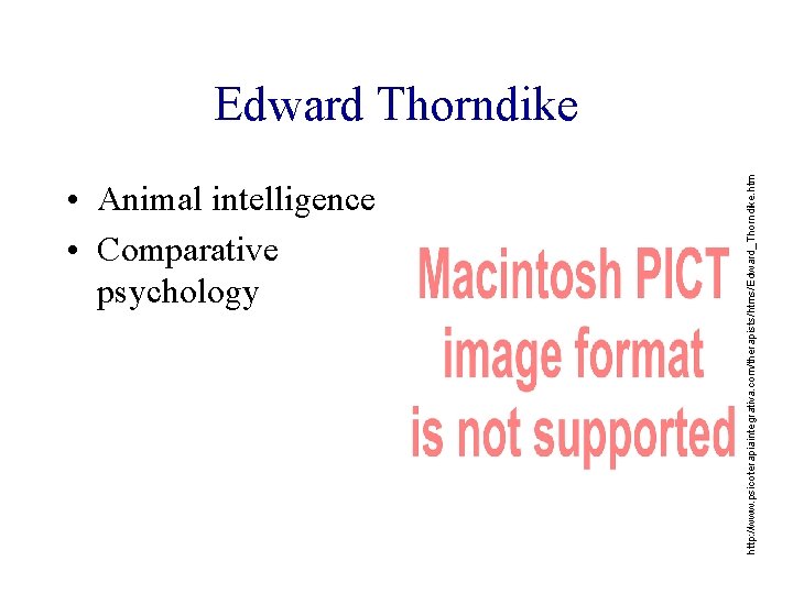  • Animal intelligence • Comparative psychology http: //www. psicoterapiaintegrativa. com/therapists/htms/Edward_Thorndike. htm Edward Thorndike