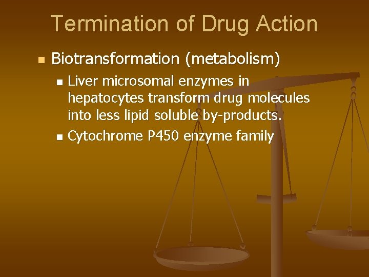 Termination of Drug Action n Biotransformation (metabolism) Liver microsomal enzymes in hepatocytes transform drug