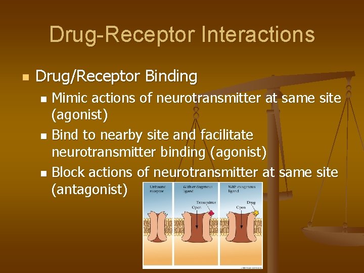 Drug-Receptor Interactions n Drug/Receptor Binding Mimic actions of neurotransmitter at same site (agonist) n