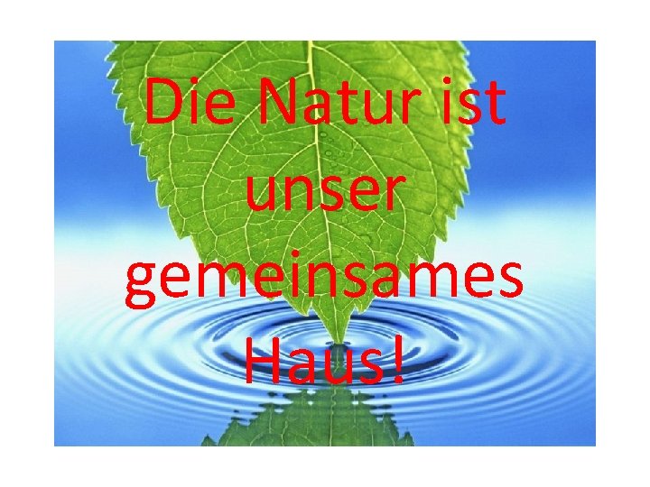 Die Natur ist unser gemeinsames Haus! 