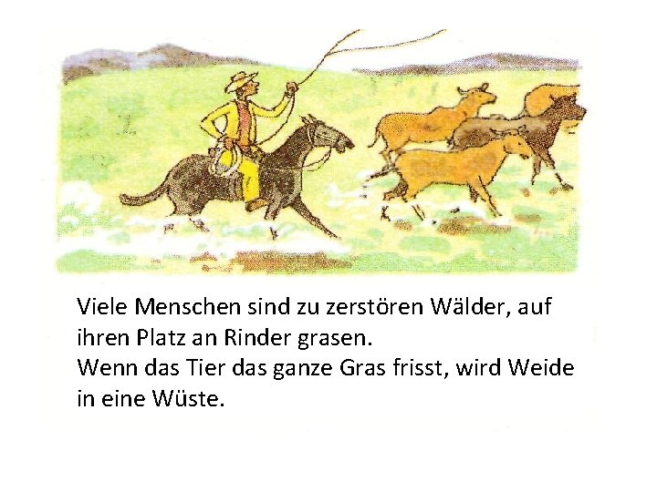 Viele Menschen sind zu zerstören Wälder, auf ihren Platz an Rinder grasen. Wenn das