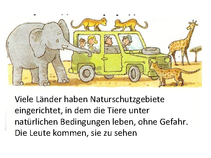 Viele Länder haben Naturschutzgebiete eingerichtet, in dem die Tiere unter natürlichen Bedingungen leben, ohne