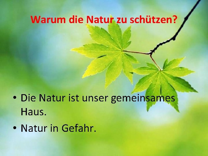 Warum die Natur zu schützen? • Die Natur ist unser gemeinsames Haus. • Natur