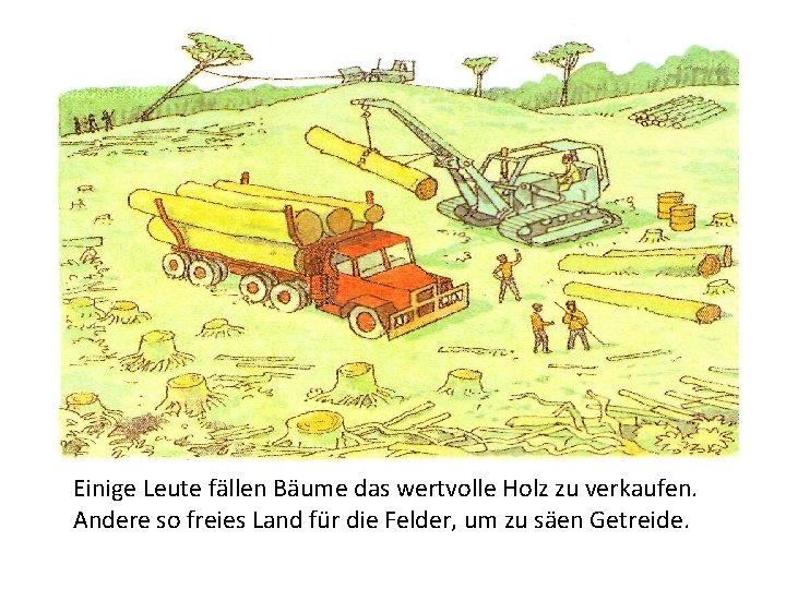 Einige Leute fällen Bäume das wertvolle Holz zu verkaufen. Andere so freies Land für