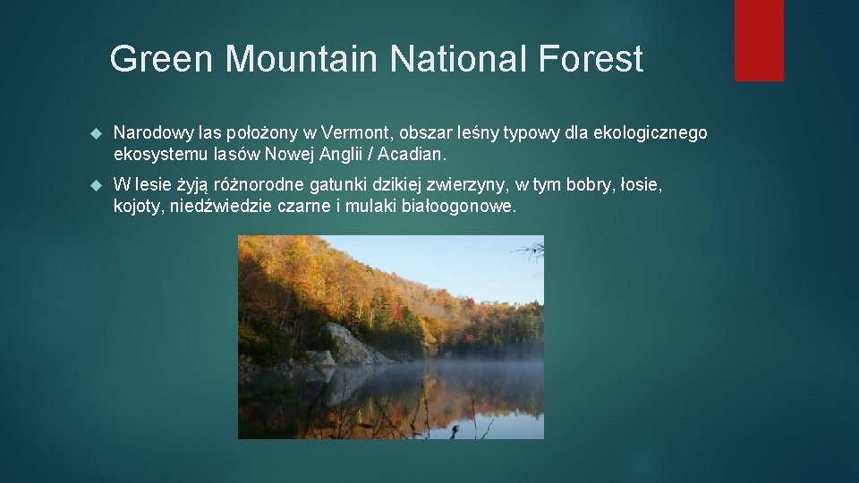 Green Mountain National Forest Narodowy las położony w Vermont, obszar leśny typowy dla ekologicznego