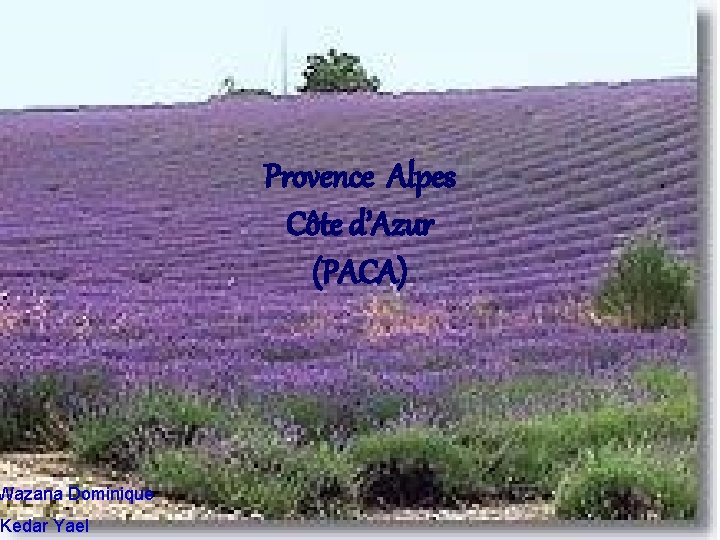 Provence Alpes Côte d’Azur (PACA) Wazana Dominique Kedar Yael 