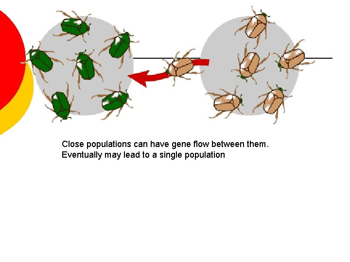 Close populations can have gene flow between them. Eventually may lead to a single