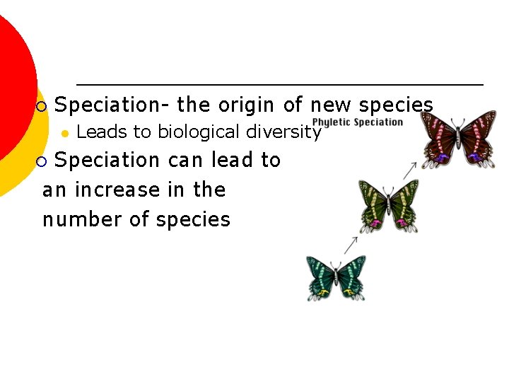 ¡ Speciation- the origin of new species l Leads to biological diversity Speciation can