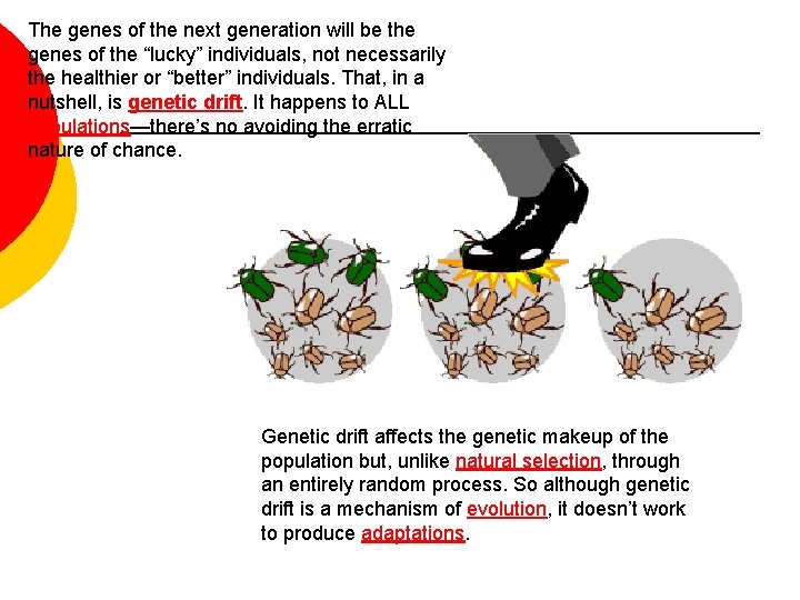 The genes of the next generation will be the genes of the “lucky” individuals,